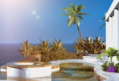 Gorgeous backyard pool with palms overlooking Florida Gulf Coast